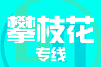 青岛到攀枝花物流公司
