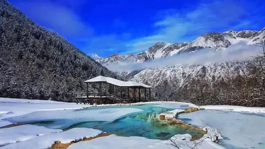 青岛到阿坝物流专线_青岛至阿坝货运公司