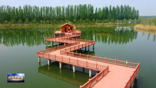 青岛到阿克苏物流专线_青岛至阿克苏货运公司