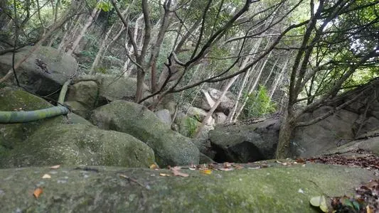青岛到抚松县物流专线_青岛至抚松县货运公司