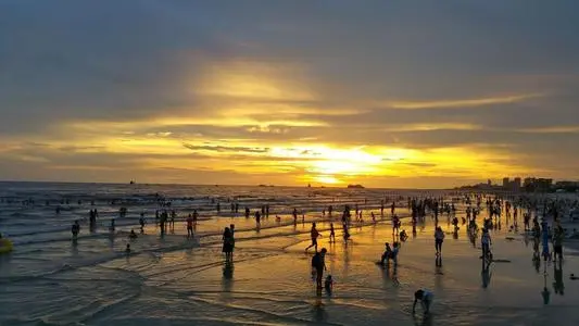 青岛到北海物流专线_青岛至北海货运公司