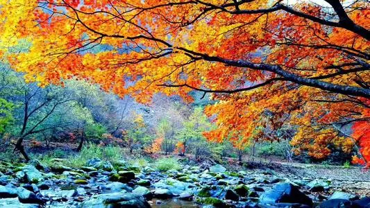青岛到本溪物流专线_青岛至本溪货运公司