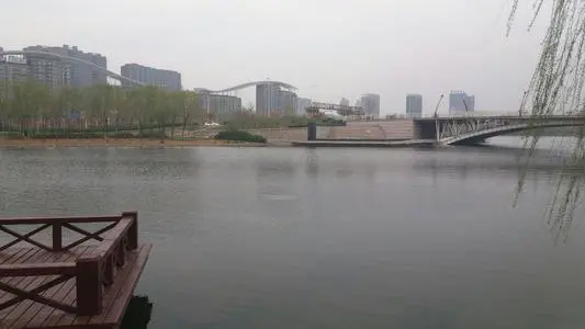 青岛到德州物流专线_青岛至德州货运公司