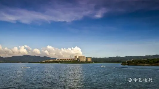 青岛到东莞物流专线_青岛至东莞货运公司