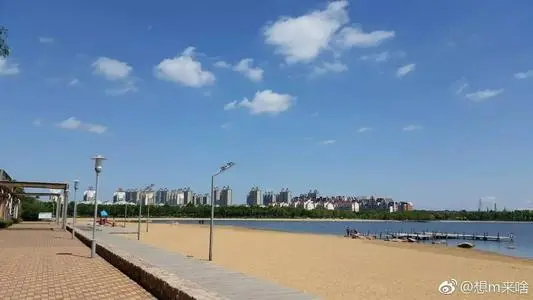 青岛到东营物流专线_青岛至东营货运公司