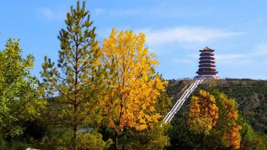 青岛到固原物流专线_青岛至固原货运公司
