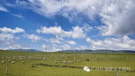 青岛到海西物流专线_青岛至海西货运公司