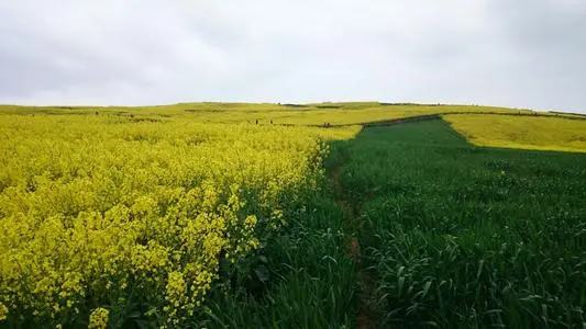 青岛到汉中物流专线_青岛至汉中货运公司