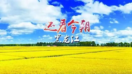 青岛到黑龙江物流专线_青岛至黑龙江货运公司