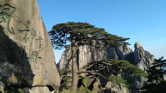 青岛到黄山物流专线_青岛至黄山货运公司