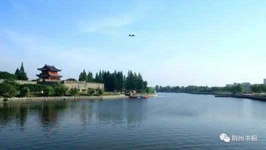 青岛到荆州物流专线_青岛至荆州货运公司