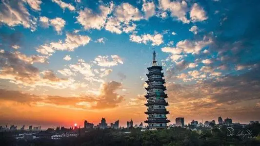 青岛到金华物流专线_青岛至金华货运公司