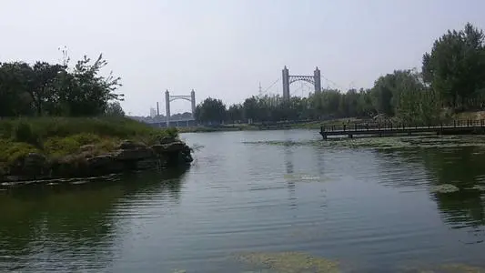 青岛到辽阳物流专线_青岛至辽阳货运公司