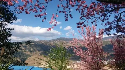 青岛到临沧物流专线_青岛至临沧货运公司