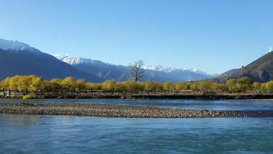 青岛到林芝物流专线_青岛至林芝货运公司