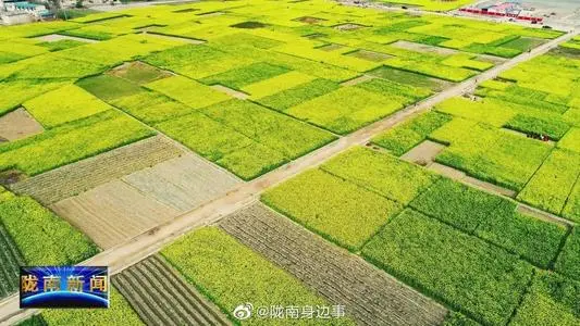 青岛到陇南物流专线_青岛至陇南货运公司