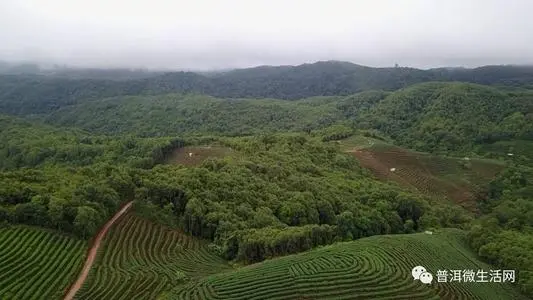 青岛到普洱物流专线_青岛至普洱货运公司