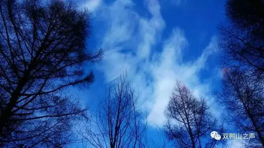 青岛到双鸭山物流专线_青岛至双鸭山货运公司