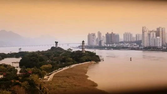 青岛到泰顺县物流专线_青岛至泰顺县货运公司
