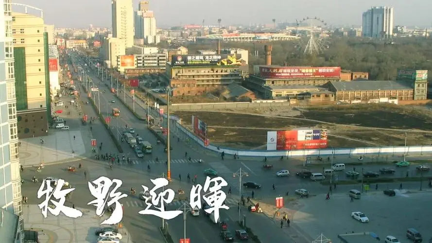 青岛到新乡物流专线_青岛至新乡货运公司