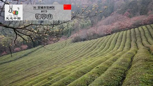 青岛到宣城物流专线_青岛至宣城货运公司