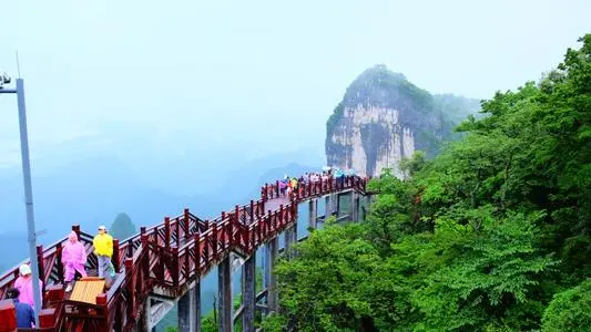 青岛到张家界物流专线_青岛至张家界货运公司